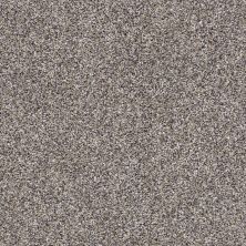 Shaw Floors Captured II Reflection