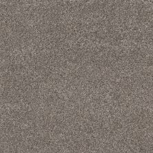 Shaw Floors Close Call II Fleeting Fawn