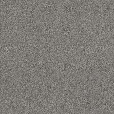 Shaw Floors Simply The Best Within Reach II Net Grey Fox 00504_5E336