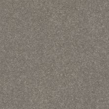 Shaw Floors Value Collections Solidify I 12 Net Tree Bark 00700_5E338