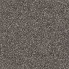 Shaw Floors Value Collections Solidify I 12 Net Pewter 00701_5E338