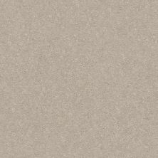 Shaw Floors Simply The Best Solidify II 12 Net Dreamy 00103_5E339