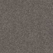 Shaw Floors Simply The Best Solidify II 12 Net Pewter 00701_5E339
