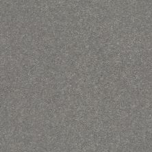 Shaw Floors Simply The Best Solidify III 12 Net Taupe Stone 00502_5E340