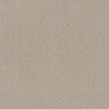 Shaw Floors Foundations Chic Shades Fossil Path 00108_5E342