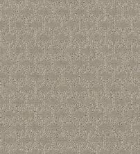 Shaw Floors Value Collections Valid Net Twine 00108_5E347