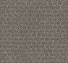 Shaw Floors Value Collections Valid Net Iced Mocha 00505_5E347