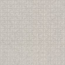 Shaw Floors Value Collections Vastly Net Stone 00104_5E348