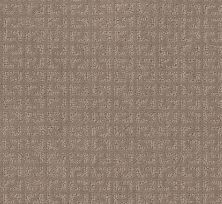 Shaw Floors Simply The Best Vastly Net Shadow 00109_5E348
