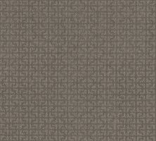 Shaw Floors Simply The Best Vastly Net Iced Mocha 00505_5E348