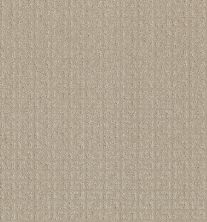 Shaw Floors Value Collections Transform Net Biscuit 00107_5E351