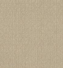 Shaw Floors Value Collections Transform Net Candle Glow 00200_5E351