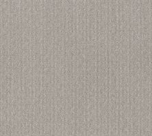 Shaw Floors Value Collections Transform Net Feather 00502_5E351
