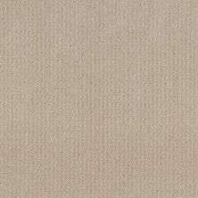 Shaw Floors Value Collections Translate Net Biscuit 00107_5E352