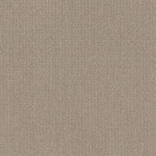 Shaw Floors Value Collections Translate Net Sand Swept 00109_5E352