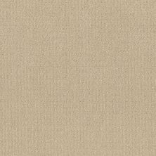 Shaw Floors Simply The Best Translate Net Candle Glow 00200_5E352