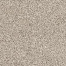 Shaw Floors Pet Perfect Plus Calm Serenity I Net Washed Linen 00103_5E353