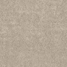 Shaw Floors Value Collections Calm Serenity II Net Kidskin 00109_5E354