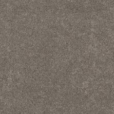 Shaw Floors Pet Perfect Plus Calm Serenity II Net Dark Maple 00702_5E354