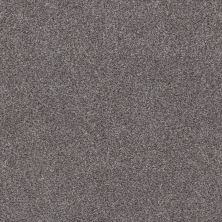 Shaw Floors Bellera Calm Simplicity I Net Silver Lining 00510_5E355