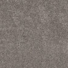 Shaw Floors Pet Perfect Plus Calm Simplicity II Net Shoreline 00116_5E356