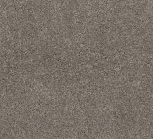 Shaw Floors Pet Perfect Plus Calm Simplicity II Net Desert View 00711_5E356