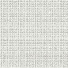Shaw Floors Pet Perfect Plus Charming Transition Net Snow Cap 00100_5E357