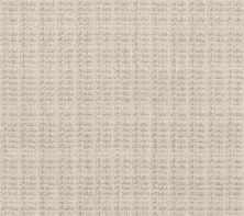 Shaw Floors Pet Perfect Plus Charming Transition Net Washed Linen 00103_5E357
