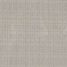 Shaw Floors Pet Perfect Plus Charming Transition Net Split Sediment 00104_5E357