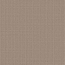 Shaw Floors Pet Perfect Plus Charming Transition Net Beige Bisque 00110_5E357