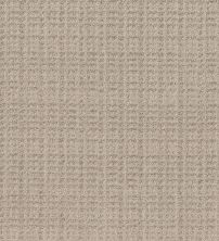 Shaw Floors Pet Perfect Plus Charming Transition Net Desert View 00701_5E357