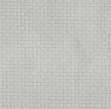 Shaw Floors Bellera Soothing Surround Net Reflection 00400_5E358