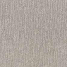 Shaw Floors Pet Perfect Plus Nature Within Net Washed Linen 00103_5E359