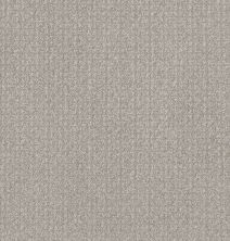 Shaw Floors Pet Perfect Plus Secret Passage Net Washed Linen 00103_5E360