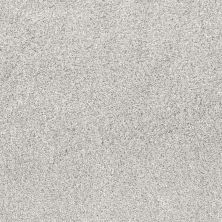 Shaw Floors Pet Perfect Plus Quiet Sanctuary Net Snow Cap 00100_5E361