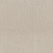 Shaw Floors Foundations Chic Nuance Net Serene Still 00101_5E362