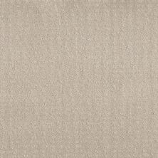 Shaw Floors Foundations Chic Nuance Net Washed Linen 00103_5E362