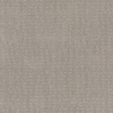 Shaw Floors Foundations Chic Nuance Net Split Sediment 00104_5E362