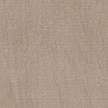 Shaw Floors Foundations Chic Nuance Net Butter Cream 00107_5E362