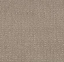 Shaw Floors Foundations Chic Nuance Net Fossil Path 00108_5E362