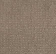 Shaw Floors Foundations Chic Nuance Net Desert View 00701_5E362