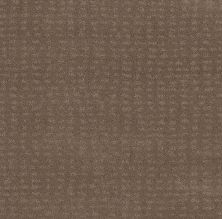 Shaw Floors Foundations Chic Nuance Net Raw Wood 00720_5E362