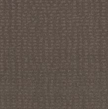 Shaw Floors Foundations Chic Nuance Net Ridgeview 00751_5E362