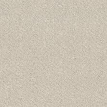 Shaw Floors Foundations Chic Shades Net Serene Still 00101_5E363