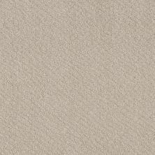 Shaw Floors Foundations Chic Shades Net Washed Linen 00103_5E363