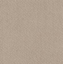 Shaw Floors Foundations Chic Shades Net Butter Cream 00107_5E363