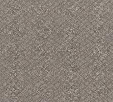 Shaw Floors Foundations Chic Shades Net River Run 00700_5E363