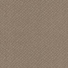Shaw Floors Foundations Chic Shades Net Desert View 00701_5E363