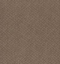 Shaw Floors Foundations Chic Shades Net Raw Wood 00720_5E363