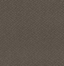 Shaw Floors Foundations Chic Shades Net Ridgeview 00751_5E363